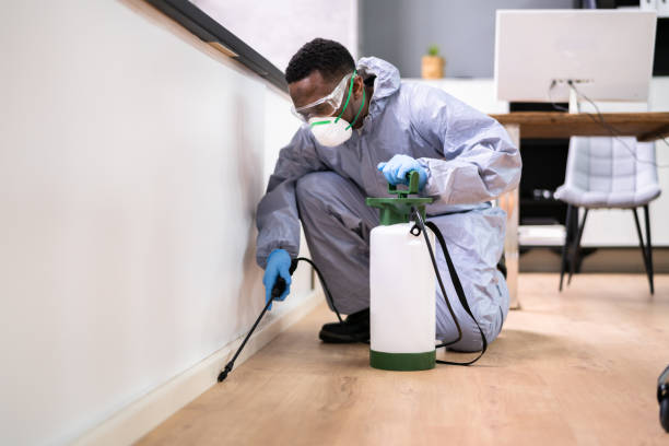 Best Real Estate Pest Inspections  in Maryville, MO